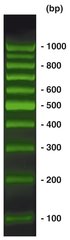 100 bp-DNA-Ladder SYBR Green,, ready-to-use, pre-dyed, 500 µl, plastic