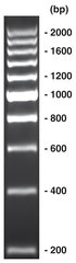 200 bp-DNA-Ladder, ready-to-use, not pre-dyed, 500 µl, plastic