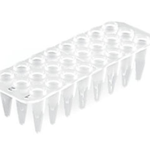 24-well PCR trays, without rack, 40 unit(s)